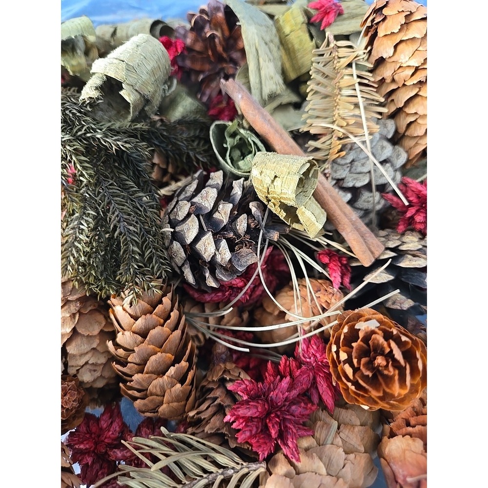 Snow Days Botanical Blend Potpourri Holiday Decor + Essential Oil Doterra Winter
